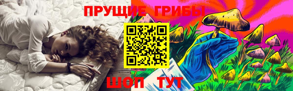 Псилоцибиновые грибы GOLDEN TEACHER Переславль-Залесский