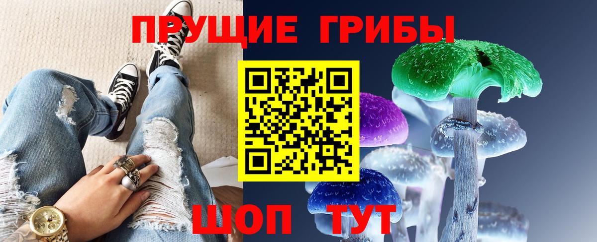как найти закладки  Псилоцибиновые грибы GOLDEN TEACHER  Вход с VPN  Переславль-Залесский 